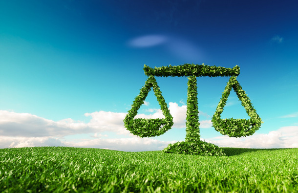 Green leaves in the shape of Justice scales, sitting on green grass and in front of a blue sky 